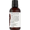 Horbäach Chocolate Fragrance Oil | 1 fl oz (30ml) |