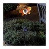 Online Garden Centre Solar Decor Infinity! Stake Lights Two Designs