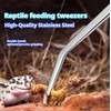 Amazleer 2 Pack Stainless Steel Reptile Feeding Tongs 10.6 Inch