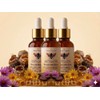 Pack Miel Melipona Pura 100 Natural Cruda Royale Mélipona Ourganics
