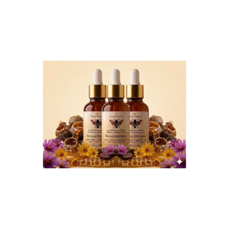 Pack Miel Melipona Pura 100 Natural Cruda Royale Mélipona Ourganics