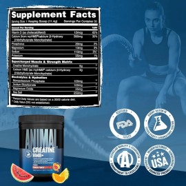 Creatina + Hmb Animal Pak Creatine Hmb Vitamina D 30 Serv Power Punch