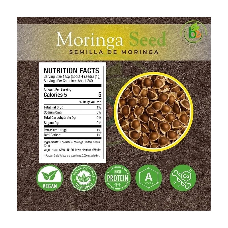 BEXPERTSUSA Store Moringa Seeds (Semillas) – 3.5 oz (Approx. 350