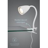 lightling Sandra Clamp Light Flexible Arm Adjustable with Cord Switch