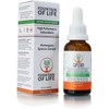 Fountain of Life, High Performance Antioxidant , Norwegian Spruce Extract,