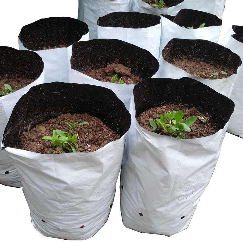 HFS(R Bolsa de Cultivo Película en Blanco y Negro para
