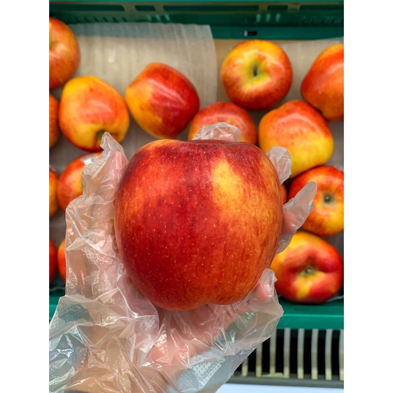 Disposable Polyethylene Plastic Gloves for Food handling, Cleaning, Cooking, Food