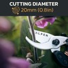 Alpen Pruning Shears Professional Grade, Gelbhorn 150, Gardening Supplies Scissors