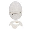 Dinosaur Egg Star Projector Bluetooth Connection Music Player Colorful Stars