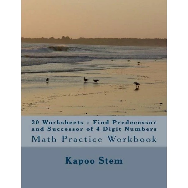 30 Worksheets - Find Predecessor And Successor Of 4 Digit