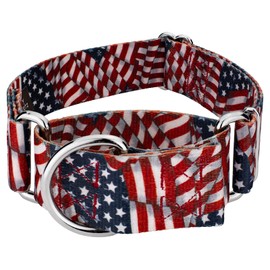 Country Brook Petz - Patriotic Tribute Martingale Dog Collar - Americana Collection with 4 Patriotic Designs (1 1/2 Inch, Extra Large)