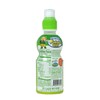 Paldo Fun & Yum Pororo Kids Green Grape Flavor Drink,
