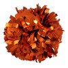 Metallic Cheerleader Cheerleading Pom Poms 6 inch 1 Pair 2