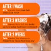 Noughty Back to Balance Shampoo, Oil Control Hair Wash, 250ml