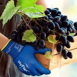 Ansell HyFlex 11-818 Guante de Protección Mecánica Gran Sensibilidad Tactil y Comodidad. Talla L (Grande) Caja de 12 Pares