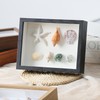 Shadow Box Display Case Frame, 5 x 7 inches, Memory