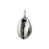 jewellerybox Sterling Silver Cowrie Shell Charm
