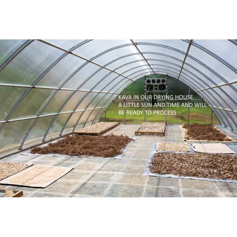 Heritage Kava Premium Fiji Noble Kava Root Powder 16 Oz/1LB