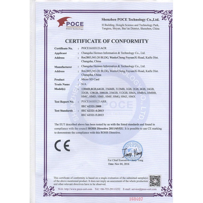 Cloudisk Micro SD Card 4GB Flash Memory Card Micro SDHC