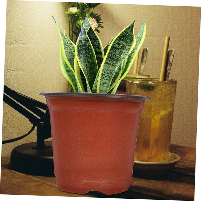 BESPORTBLE 50pcs Plastic Flowerpot Succulents Flower Pot Decorative Flower Pot