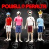 Super7 Powell-Peralta Reaction Figures Wave 05 - Mike McGill (Mt.