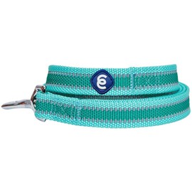 Blueberry Pet Essentials Reflective Back to Basics Dog Leash, Minty Green, 4 ft x 1", Large, Leashes for Dogs