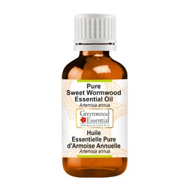 Greenwood Essential Natural Sweet Wormwood Essential Oil (Artemisia annua) Natural Pure Therapeutic Quality Steam Distilled 100 ml (3.38 oz)