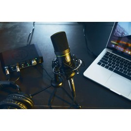 Mackie EM-91C Large-diaphragm Condenser Microphone