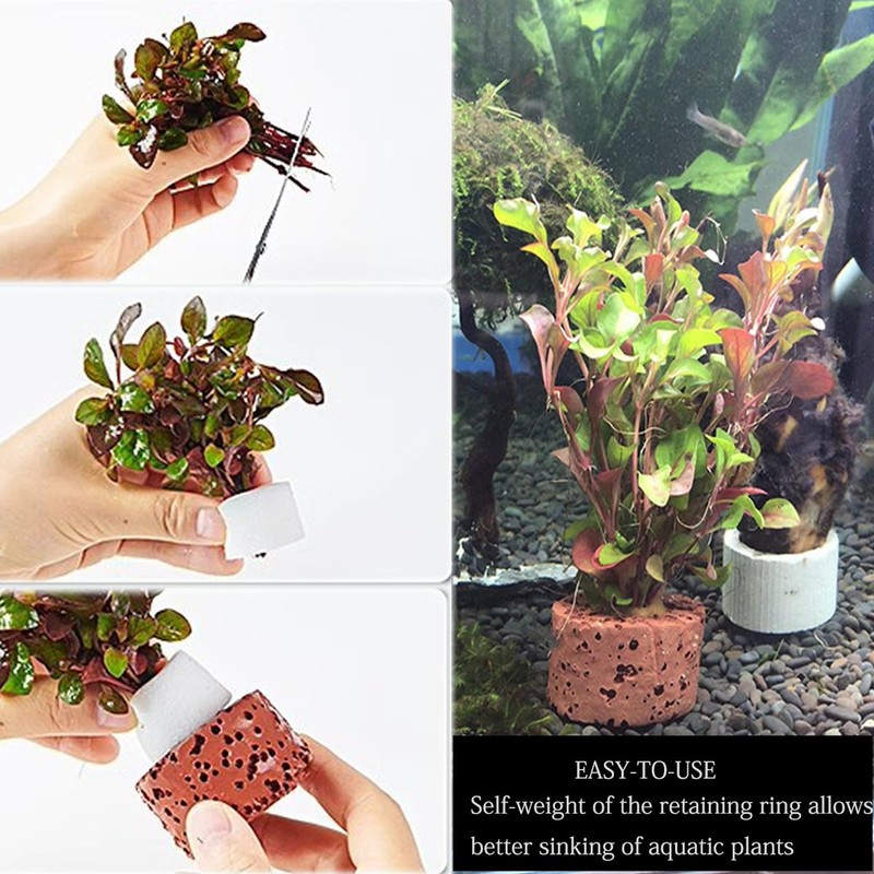 icyhey 20Pcs Aquatic Water Plant Fixed Rings, 25mm Aquatic Plant