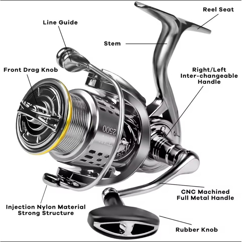 Fi's+7 Spinning Reel Assorted 4000