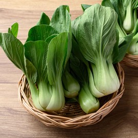 Eden Brothers Chinese Cabbage Seeds - Pak Choy White Stem