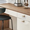 Aribrnten 8 Packs Champagne Gold Cabinet Knobs Drawer Knobs Euro