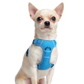 Joytale Step-in No Pull Dog Harness for Puppy Small Dogs with 2 Leash Clips, Reflective Pet Vest with Easy Control Handle, Adjustable Soft Padded Harness for Walking and Trainings, Aqua Blue,XS