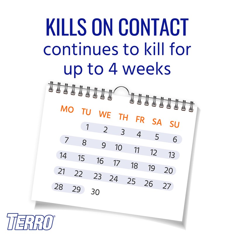 TERRO T1901-6 Ready to Use Indoor and Outdoor Carpenter Ant,