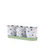 Fallen Fruits Bee Print Herb Pots with Tray | for
