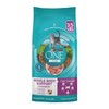 Purina ONE Plus Whole Body Support with Chicken Dry Cat