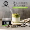 DoMatcha Summer Harvest Green Tea Matcha Powder - 75 Servings