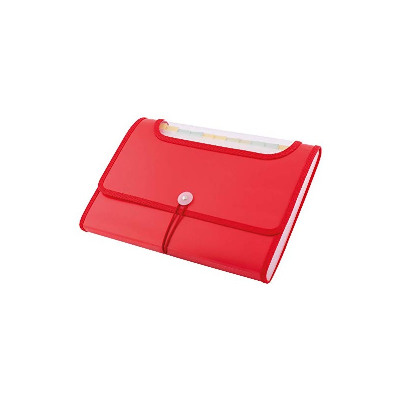 D.RECT 5590 - A4 12-Pocket Expandable Folder | Expandable Binder