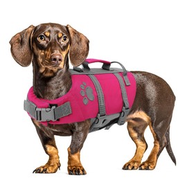 Queenmore Dog Life Jacket, Dog Life Vest for Swimming, Pet Swimming Vest for Medium Dogs, Floating Doggy Jackets for Boating Kayaking, Puppy Pool Float with Safety Handle Hook