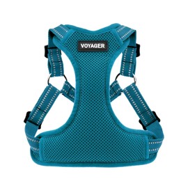 Best Pet Supplies Voyager by Arnés de Malla para Perro Totalmente Ajustable con Ribetes Reflectantes 3M, Turquesa (Ribete a Juego), M (Pecho: 17-21 Pu