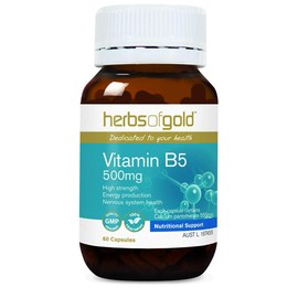 Herbs of Gold 500mg Vitamin B5 60 Capsules