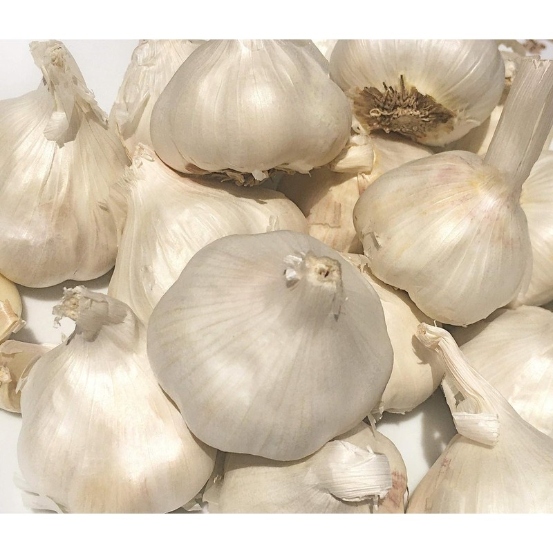 Fresh Garlic Bulbs Home Grown in CA,USA. - Qty :