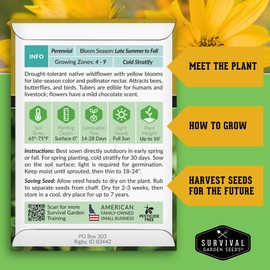 Survival Garden Seeds - Maximilian Sunflower (Helianthus maximiliani) | 10-Foot Prairie Giant | Fall Blooming Pollinator Magnet | North American Native Wildflower Seed for Planting - 1 Pack