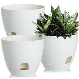 IWNTWY Self Watering Pots Set, 3 Pack 6 Inch Self Watering Pots for Indoor Outdoor Plants, Plastic Planter with Drainage Holes and Deep Reservoir for African Violet, Spider, Orchid