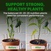 Humboldts Secret Everything Growing 20-20-20 Fertilizer | All Purpose Water