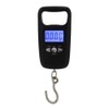 Fishing Scale, 50 kg Hanging Scale, Luggage Scale, Digital Suitcase