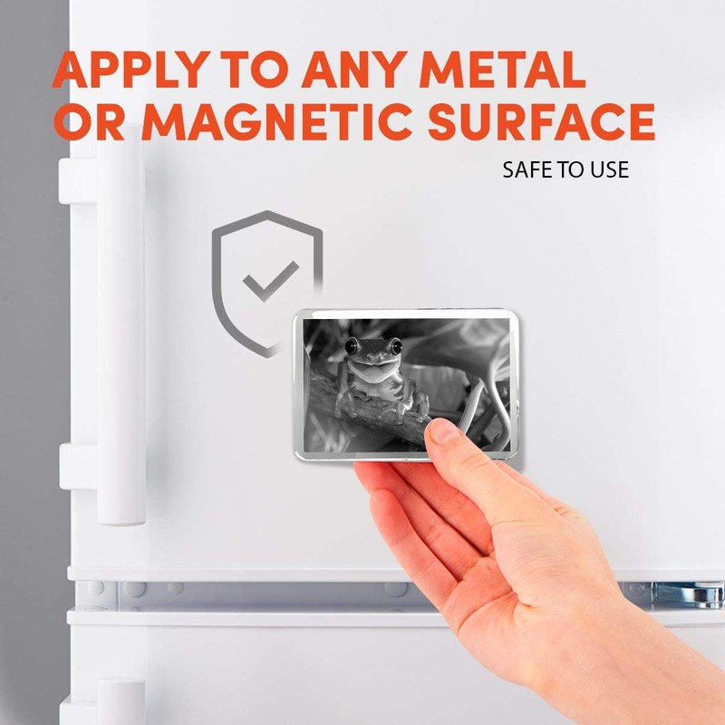 1 x Fridge Magnet - Smiling Frog #36121