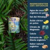 Electrolitos en Polvo con Sabor Bask Caja de 20 Sobres