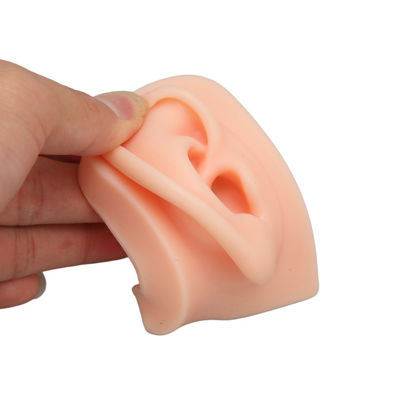 3D Nose and Mouth Model Silicone Ear Model Simulation Display