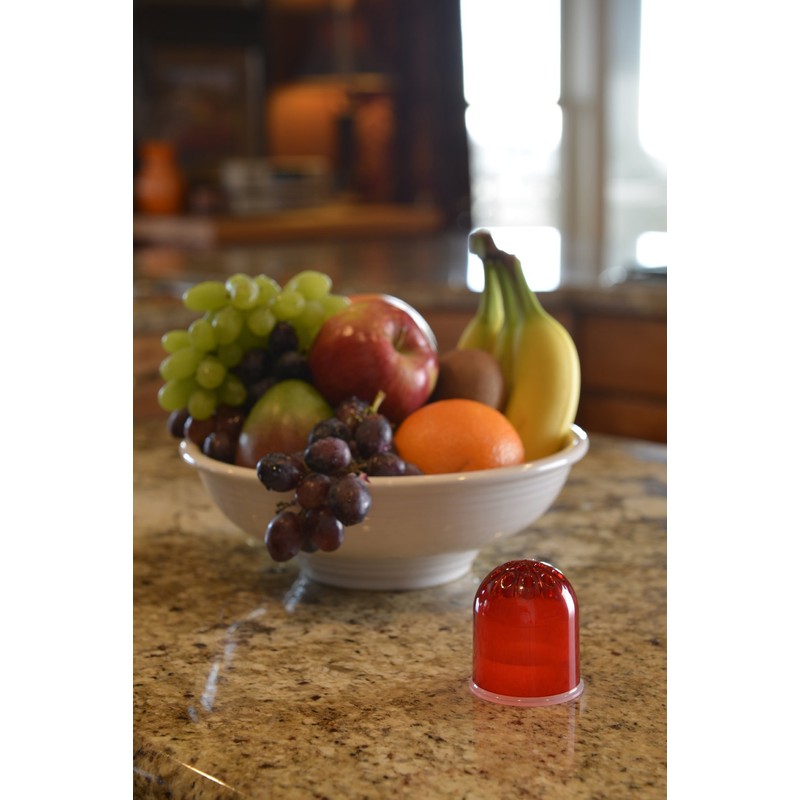 RESCUE! Fruit Fly Trap – Reusable, Includes Liquid Bait Attractant